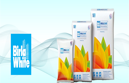 Birla White Wallputty